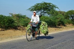A man rides a bicycle on the road