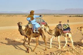 Tourists ride camels in the desert