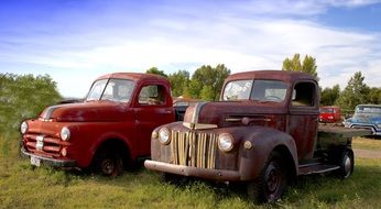 rusted vintage trucks, montana