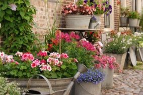 Buckets with flowers on the street