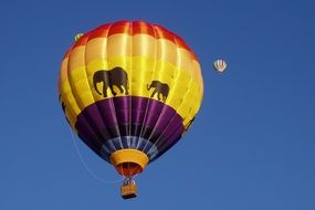 hot air ball festival in New Mexico