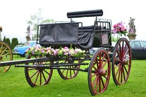 wedding cart stands in a green meadow