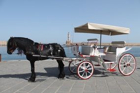 A horse with a cart stands on the promenade