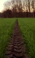 path from a wheel on a green field