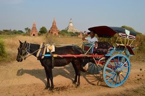 man speaking mobile in colorful horse driven wagon in view of buddhist shrines, Burma