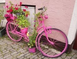 Pink Bike Decor
