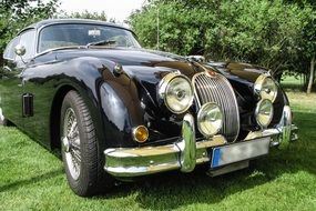 Jaguar XK 150 retro car on lawn