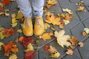 Yellow Autumn Shoes