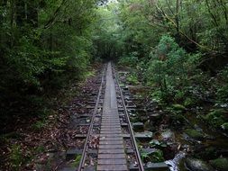 railway on the Yakushima island