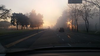 Misty street