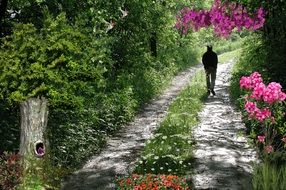 Path Road, Florida