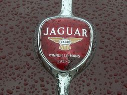 Jaguar logo on the hood