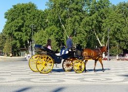 horse and tourist cart in the square