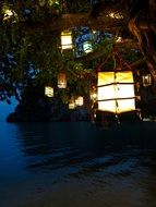 decorative lanterns on the tree