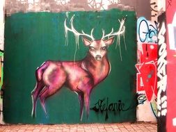 deer like colorful graffiti