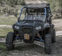 Buggy on the street among the plants