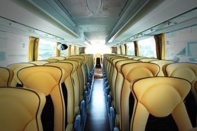 Bus Transport Inside