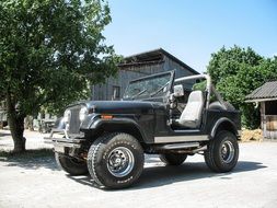 jeep car near the tree