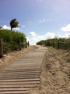 wooden walkway on the beach in miami