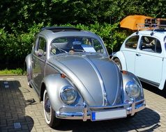silver Volkswagen beetle in the parking