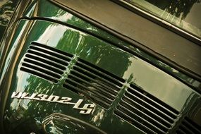 Vw Beetle logo