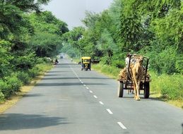 variety of vehicles on the road in india