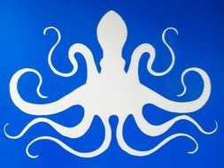 drawn white octopus on a blue background