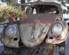 old Vw Beetle