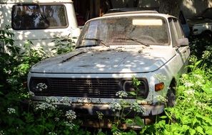 White car in a car cemetery