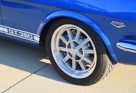 Mustang Muscle Car