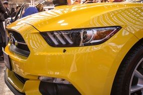 Mustang Car t