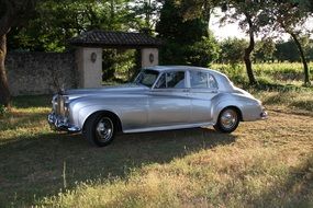 silver rolls royce among nature