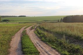 Country Road going into the horizon
