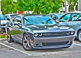 Dodge Challenger Car