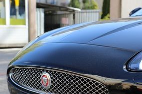 jaguar car grill photo