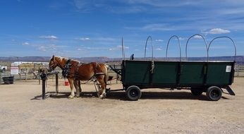 A horse with a wagon on a ranch