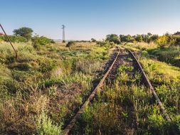 railway in green grass