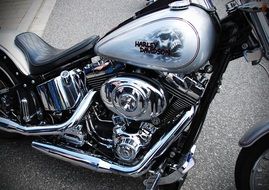 side view of harley davidson motorcycle