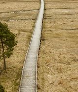 long Wooden pedestrian bridge