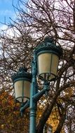 Beautiful lanterns and trees