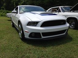 Car Mustang