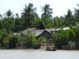 boat on Mekong River at village, Vietnam