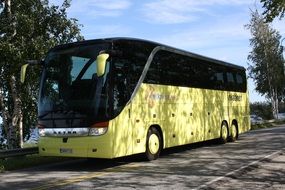 yellow bus on the road in a game of light and shadows