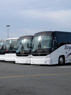 Buses for the transportation