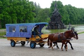 Horse And Cart