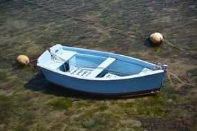 blue wooden boat on the water on a sunny day