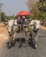 Cambodia Taxi