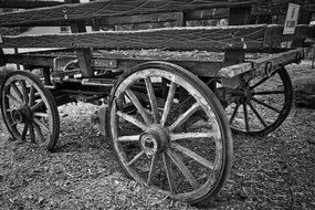 Vintage Wagon