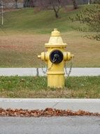 Yellow Fire Hydrant on a road