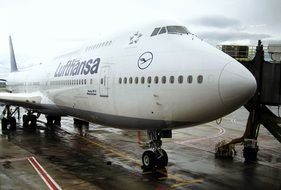 Boeing 747 or Jumbo Jet